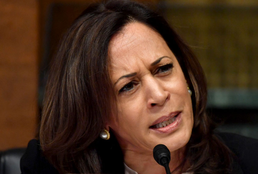 Sen. Kamala Harris (D-CA) (Getty/Nicholas Kamm)