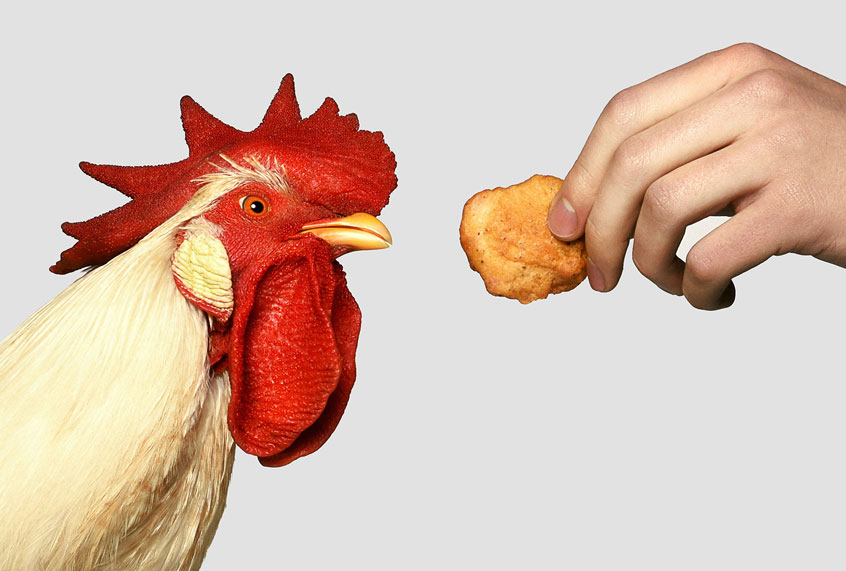 (NUGGS)