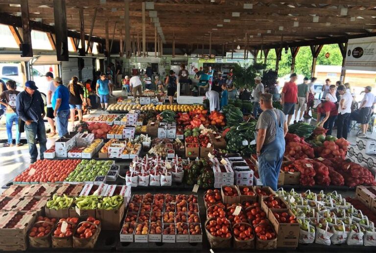 Peak summer season at the Chesterhill Produce Auction. (Rural Action)