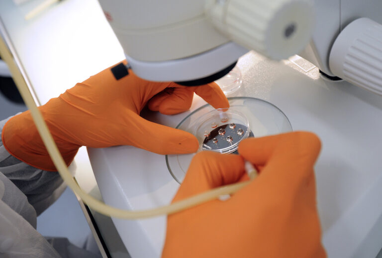 French Fabien Danjan of CNRS (French Reseach Institut Center) processes to a handling as he introduces embryonic stem cells  in a mouse embryo to set a genetically modified line, on February 9, 2012, at the Centre d'Immunologie de Marseille-Luminy (CIML), in the transgenesis laboratory which in charge to create animals  in order to understand how genes work, in Marseille, southern France.
 AFP PHOTO / ANNE-CHRISTINE POUJOULAT (Photo credit should read ANNE-CHRISTINE POUJOULAT/AFP/Getty Images) (Anne-Christine Poujoulat/AFP/Getty Images)