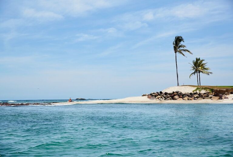 (Theodore Samuels/Fathom)