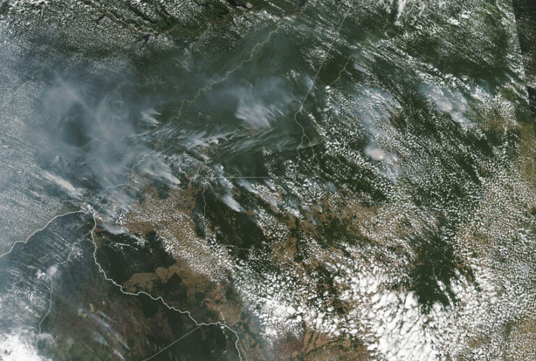 This satellite image provided by NASA on Aug. 13, 2019 shows several fires burning in the Brazilian Amazon forest. (NASA via AP)