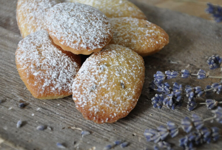 (Skyhorse Publishing)