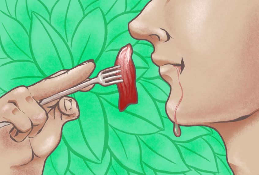 Confessions of a Carnivore (Salon / Ilana Lidagoster)