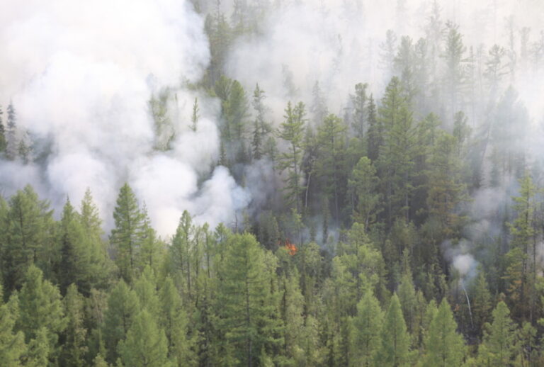This photo taken on Monday, July 29, 2019 and released by Press Service of the Ministry of Forestry of the Krasnoyarsk Territory, shows an air view of a forest fire in the Boguchansk district of the Krasnoyarsk region, Russia Far East. (Maria Khlystunova, Press Service of the Ministry of Forestry of the Krasnoyarsk Territory via AP)