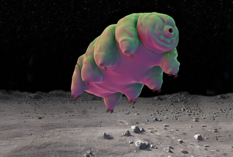 Enlarged tardigrade on the moon (Getty/Photo Montage by Salon)