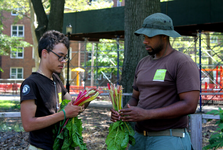 Green City Force team leader CheVon Cooper (right) and Americorps member Manuel at the Forest Houses gardens. (Photo by Robert Cowan) (Photo by Robert Cowan)