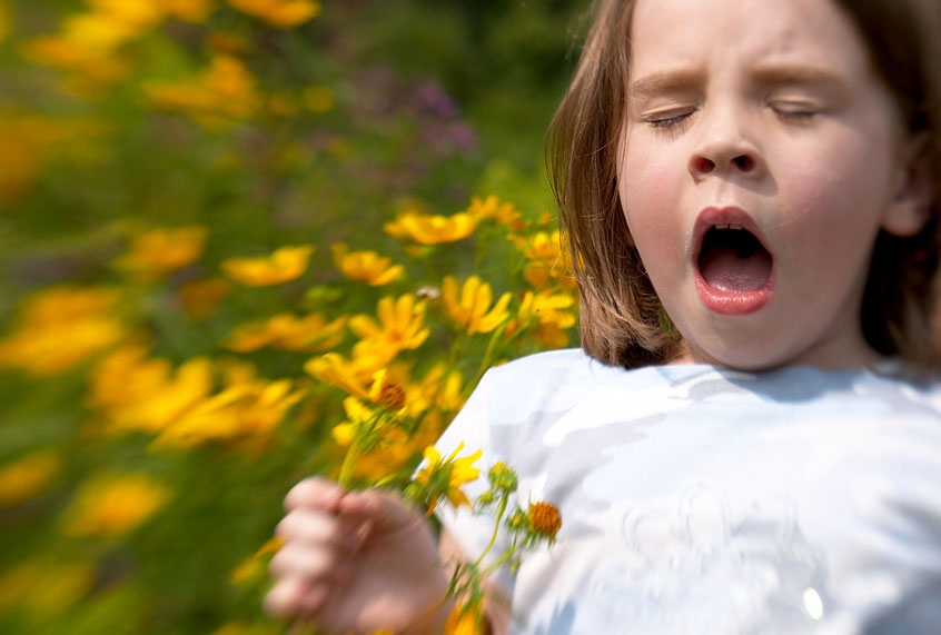 Pollen Allergy (Getty/BigPappa)