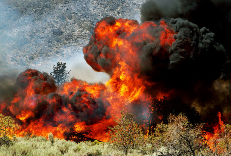 Intense flames driven by extreme drought conditions, wind and hot weather sweep over a remote section of the San Bernardino National Forest during the Blue Cut Fire on August 18, 2016 near Wrightwood, California. (David McNew/Getty Images)