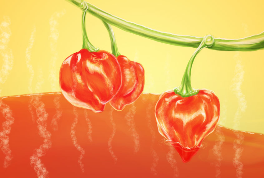 Habanero Hot Sauce (Salon/Ilana Lidagoster)