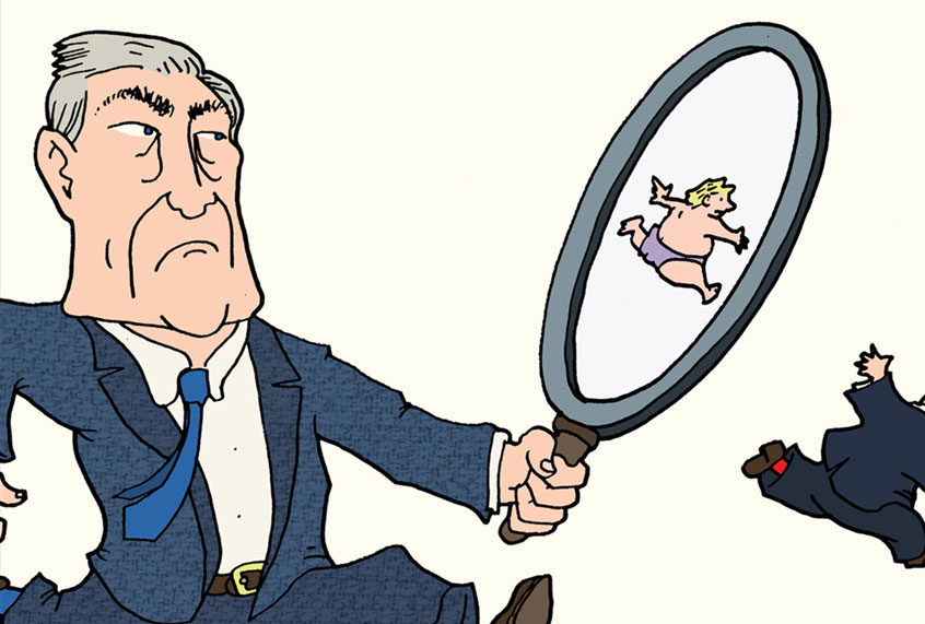 The Mueller Report Graphic Novel (Shannon Wheeler)