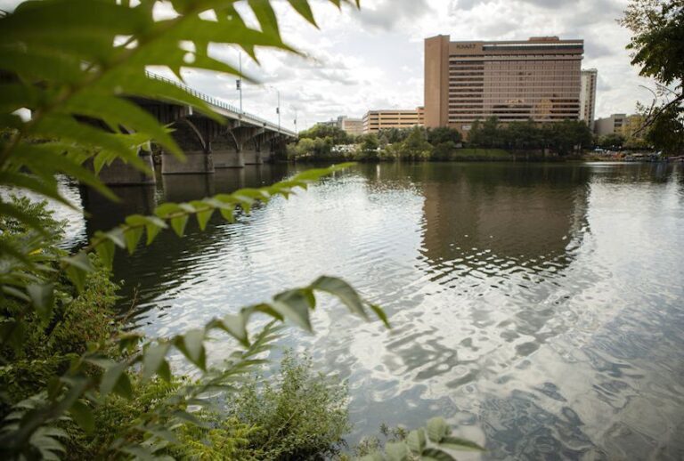 Lady Bird Lake at Congress Avenue in Austin. Since late July, parts of the lake have been off limits due to high concentrations of toxic "blue-green" algae. (Miguel Gutierrez Jr./The Texas Tribune)