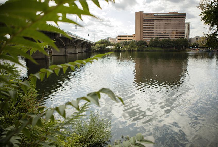 Lady Bird Lake at Congress Avenue in Austin. Since late July, parts of the lake have been off limits due to high concentrations of toxic "blue-green" algae. (Miguel Gutierrez Jr./The Texas Tribune)