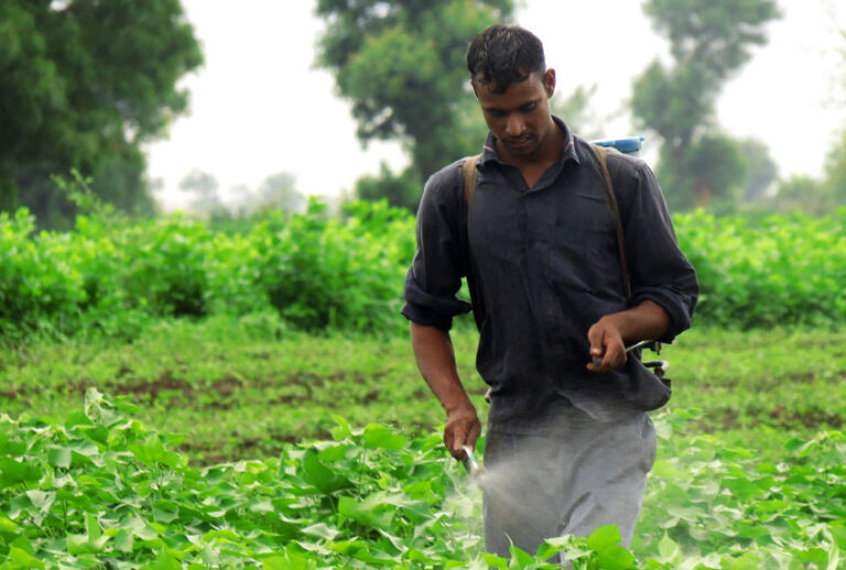 Cotton farmer in India (Andrew Flachs)