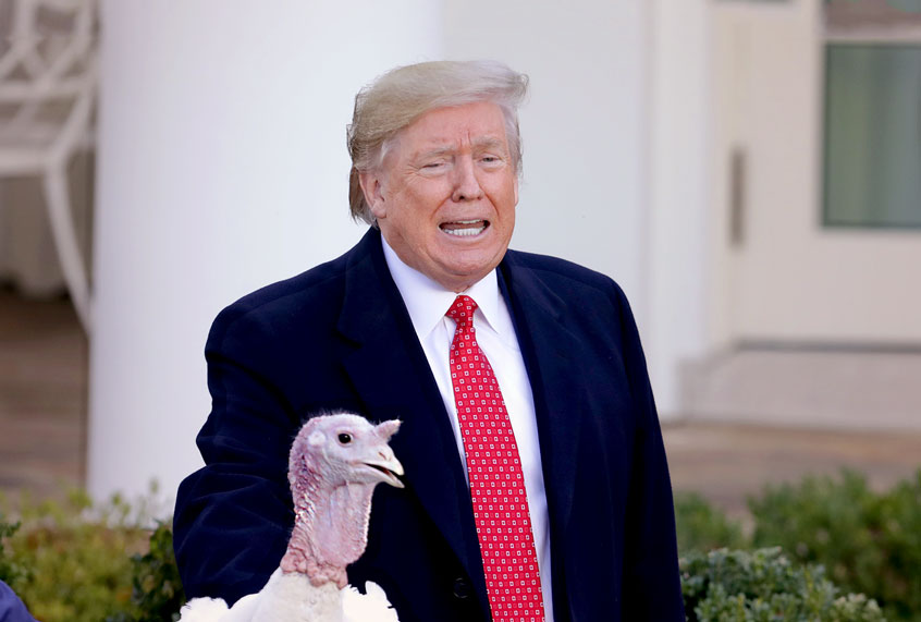 U.S. President Donald Trump gives a presidential ‘pardon’ to the National Thanksgiving Turkey Butter during the traditional event with first lady Melania Trump (R) in the Rose Garden of the White House November 26, 2019 in Washington, DC. The turkey pardon was made official in 1989 under former President George H.W. Bush, who was continuing an informal tradition started by President Harry Truman in 1947. Following the presidential pardon, the 47-pound turkey which was raised by farmer Wellie Jackson of Clinton, North Carolina, will reside at his new home, 'Gobbler's Rest,' at Virginia Tech. (Chip Somodevilla/Getty Images)