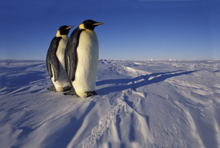 (Wolfgang Kaehler/LightRocket via Getty Images)