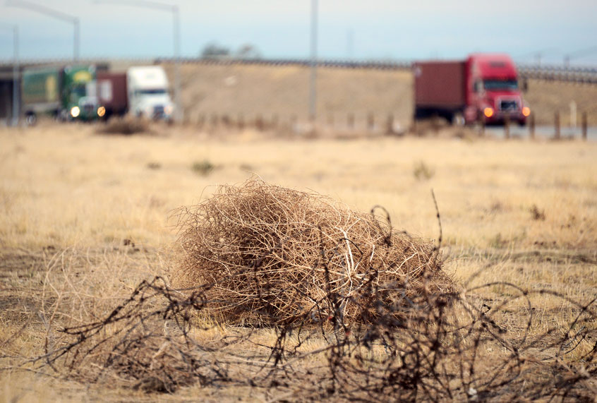 Tumbleweed rolls across a dried out landscape in central California's Kern County as trucks head south toward the Grapevine to begin the climb over the Tejon Pass leading into Southern California, on February 3, 2014. The United States government announced on February 5 a new system of regional hubs to tackle the effects of climate change as the country's southwest battles a historic drought. In January, California declared a state of emergency due to what could be the worst drought in a century for the state, and which has prompted fears of lost harvests and devastating forest fires. (FREDERIC J. BROWN/AFP via Getty Images)
