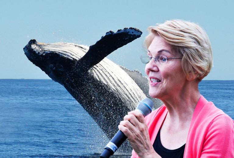 Elizabeth Warren (Getty Images/Salon)
