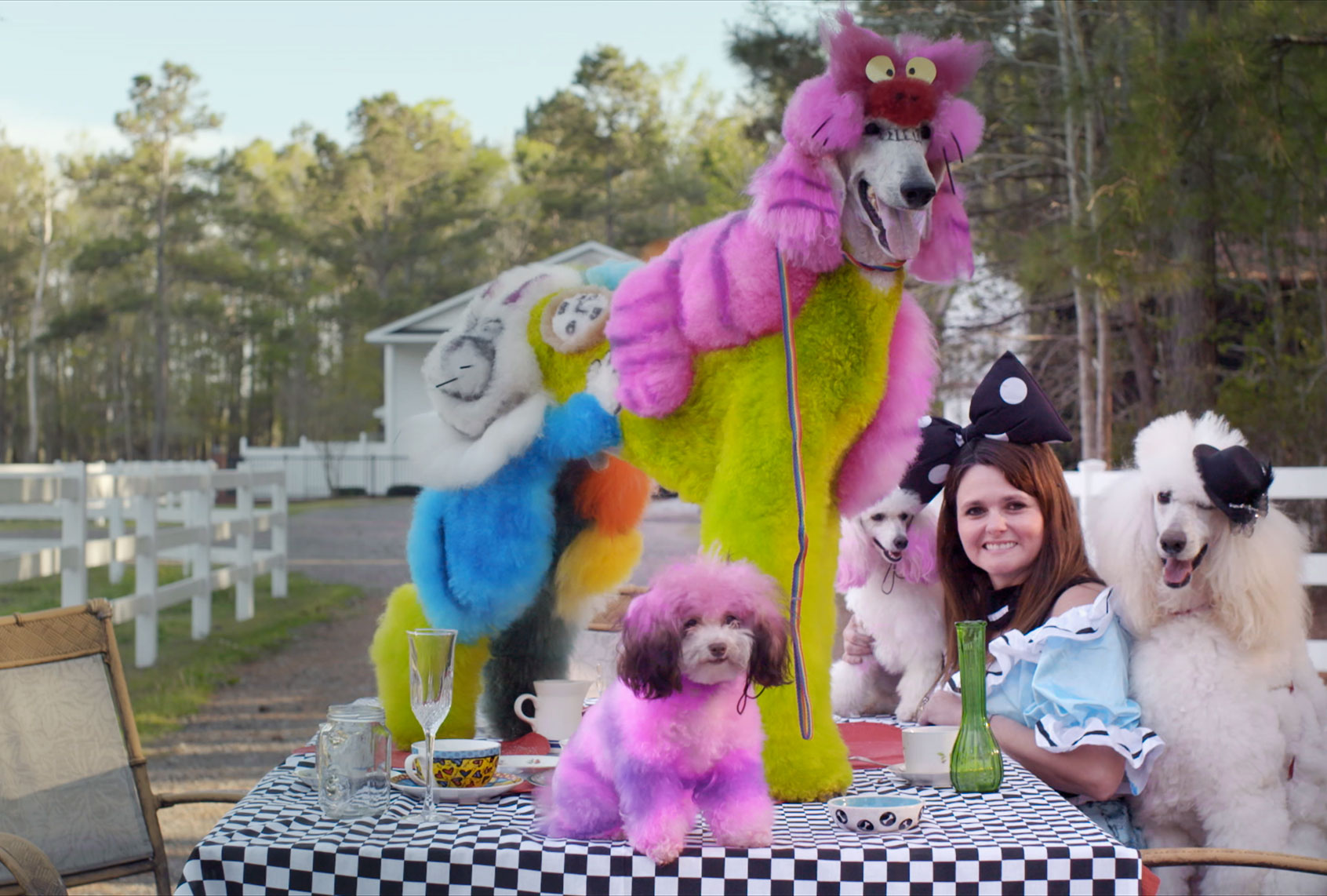 Adriane Pope and her poodles become Alice in Wonderland for an afternoon in 
Conway, South Carolina. (Photo Courtesy of Cattle Rat Productions)