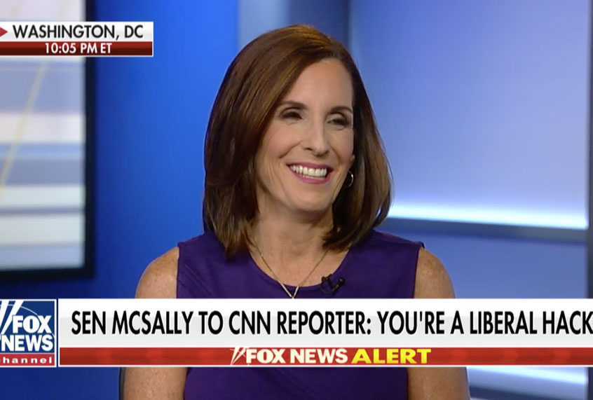 Sen. Martha McSally (Fox News)