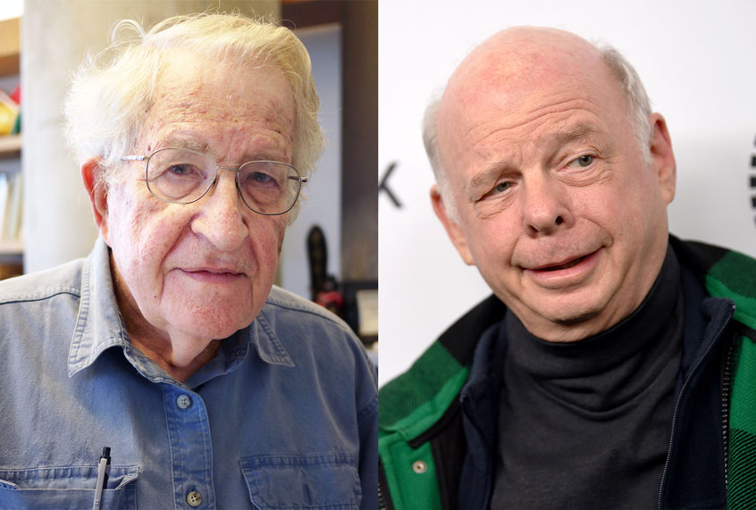 Shawn Wallace and Noam Chomsky (Getty Images/Salon)