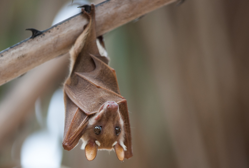 (annick vanderschelden photography/Getty Images)