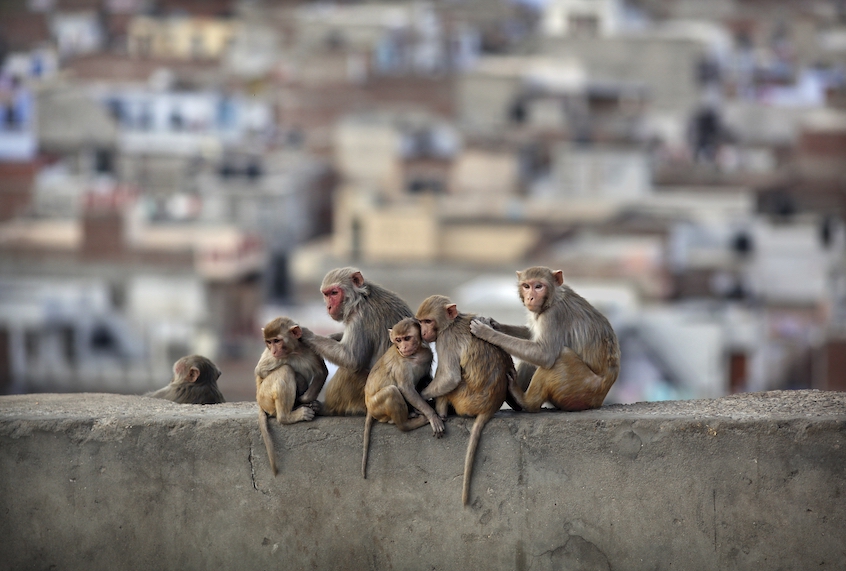 (Timothy Allen/Getty Images)