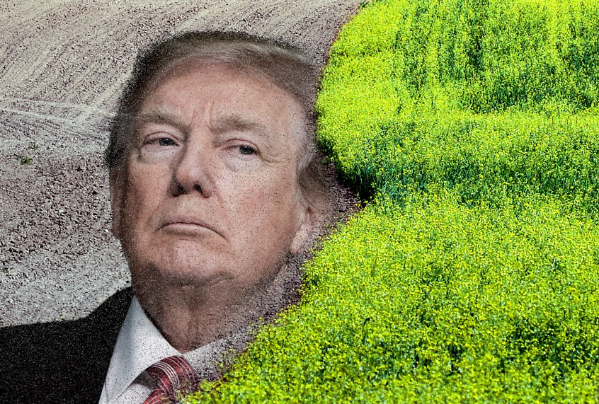 Donald Trump (Getty Images)
