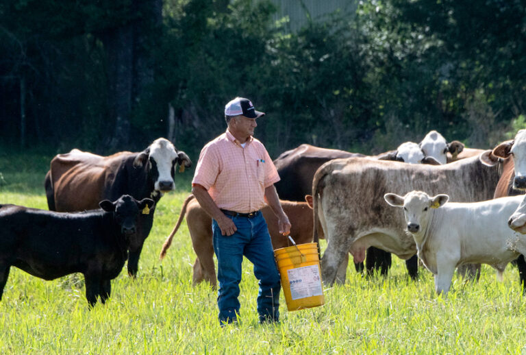 (Lance Cheung / USDA)
