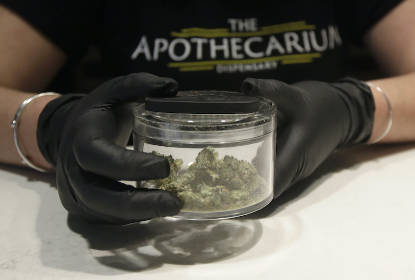 Cali Manzello, general manager at The Apothecarium cannabis dispensary, wears gloves when holding a marijuana sample for smelling while posing for photos at the store in San Francisco, Wednesday, March 18, 2020. As about 7 million people in the San Francisco Bay Area are under shelter-in-place orders, only allowed to leave their homes for crucial needs in an attempt to slow virus spread, marijuana stores remain open and are being considered "essential services." (AP Photo/Jeff Chiu)