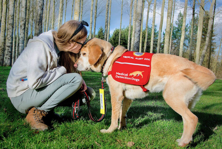 Jodie Griffin suffers from unpredictable episodes of losing consciousness. Her medical alert dog, Nimbus, was trained to alert to the scent she emits before an episode. She says he has changed her life, allowing her to go out in the world without fear of collapsing without warning. (Jodie Griffin)