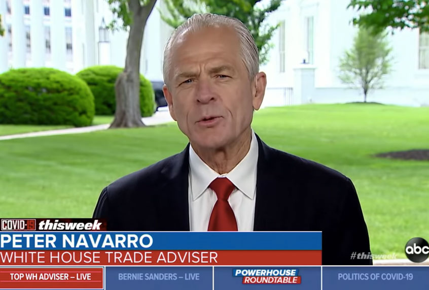 Peter Navarro on "This Week." (ABC)