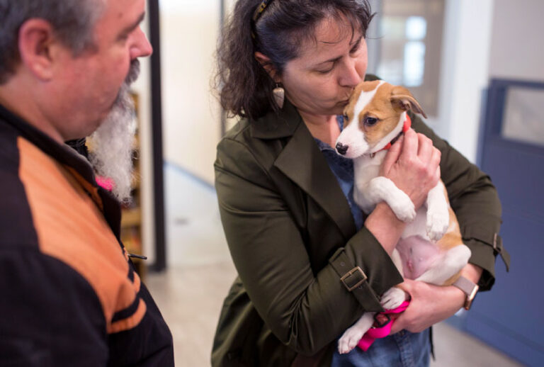 Donna and Mark Metayer with their new puppy that they adopted from the Animal Welfare Society (Brianna Soukup/Portland Portland Press Herald via Getty Images)