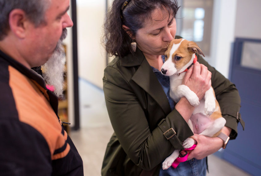 Donna and Mark Metayer with their new puppy that they adopted from the Animal Welfare Society (Brianna Soukup/Portland Portland Press Herald via Getty Images)