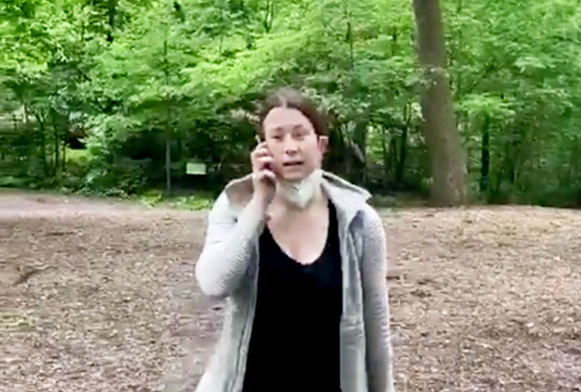 Video of Amy Cooper with her dog in Central Park was widely shared on social media on Monday. (Twitter/@melodyMcooper)