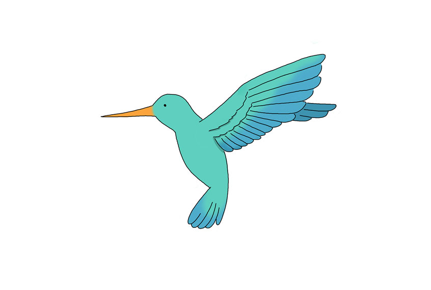 Hummingbird (Illustration by Liz Climo)