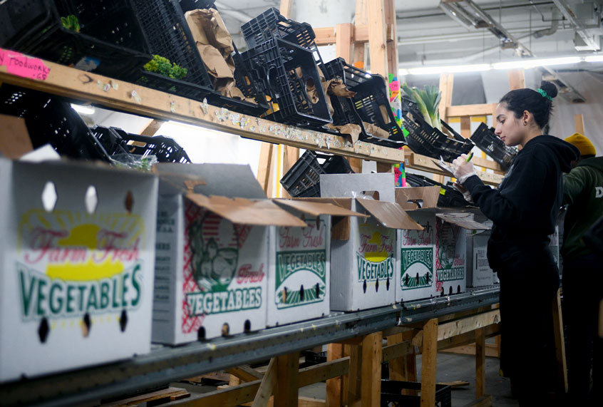 Crew members pick items to fulfill an online order of produce and vegetables, at the warehouse of Philly Foodworks, in North Philadelphia, PA (Bastiaan Slabbers/NurPhoto via Getty Images)