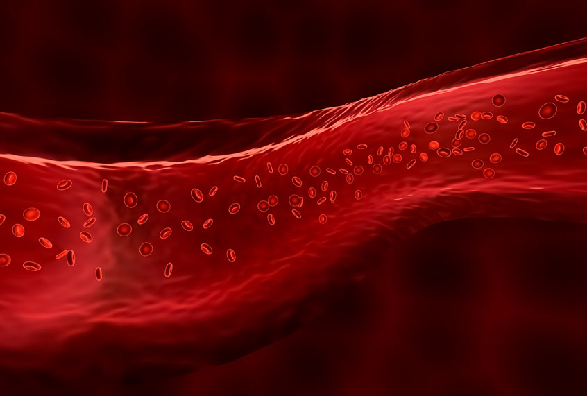 Blood Vessel concept illustration (Getty Images)