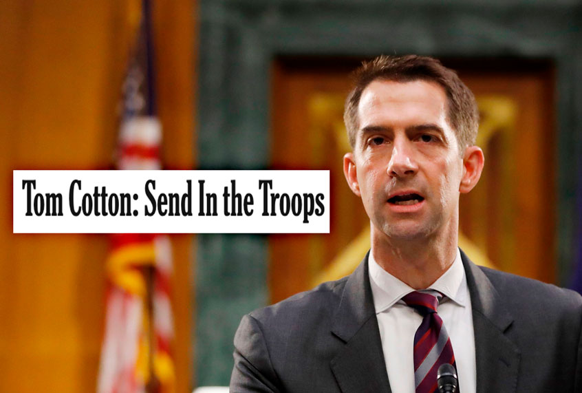 Sen. Tom Cotton (ANDREW HARNIK/POOL/AFP via Getty Images)