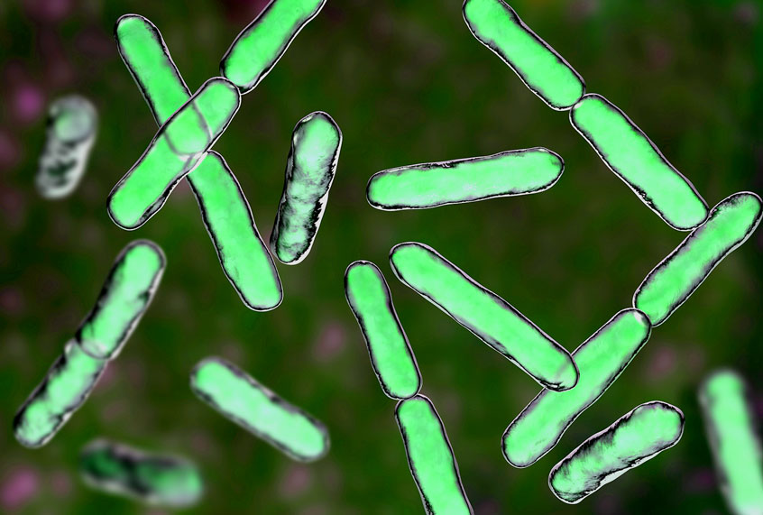 Microbial cells (Getty Images)
