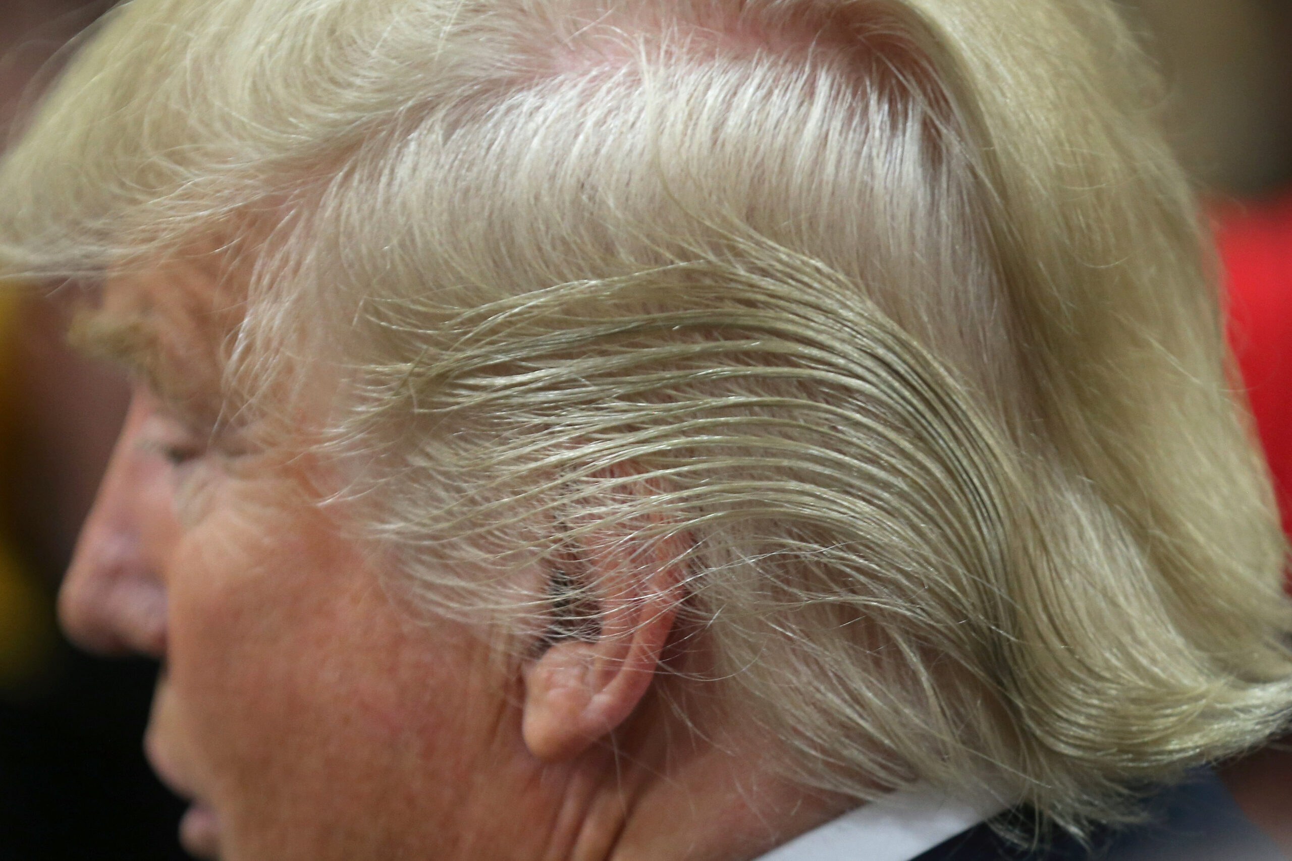 COUNCIL BLUFFS, IA - JANUARY 31: Detail of Republican presidential candidate Donald Trump's hair as he signs autographs after a campaign rally at the Gerald W. Kirn Middle School on January 31, 2016 in Council Bluffs, United States. (Photo by Christopher Furlong/Getty Images)
