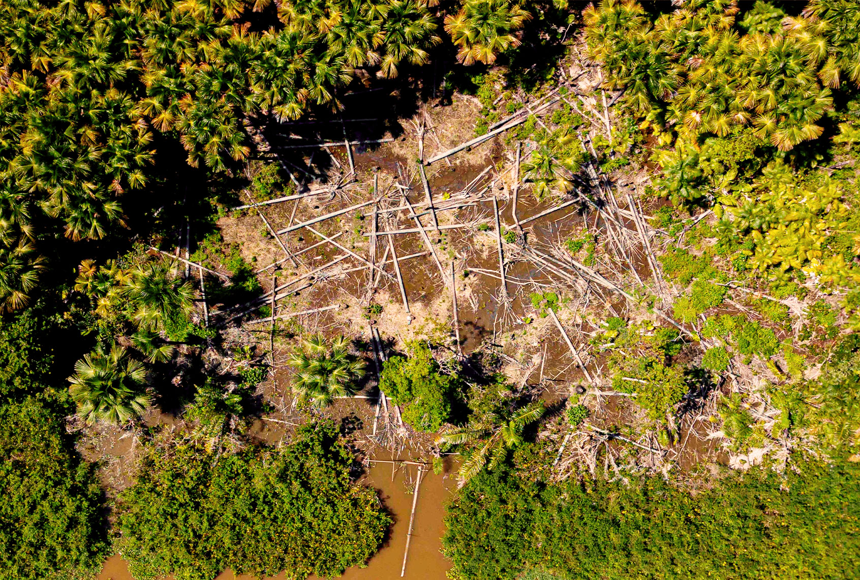 Aerial view of a deforested area in the municipality of Melgaco, Para State, Brazil, on July 30, 2020. (TARSO SARRAF/AFP via Getty Images)
