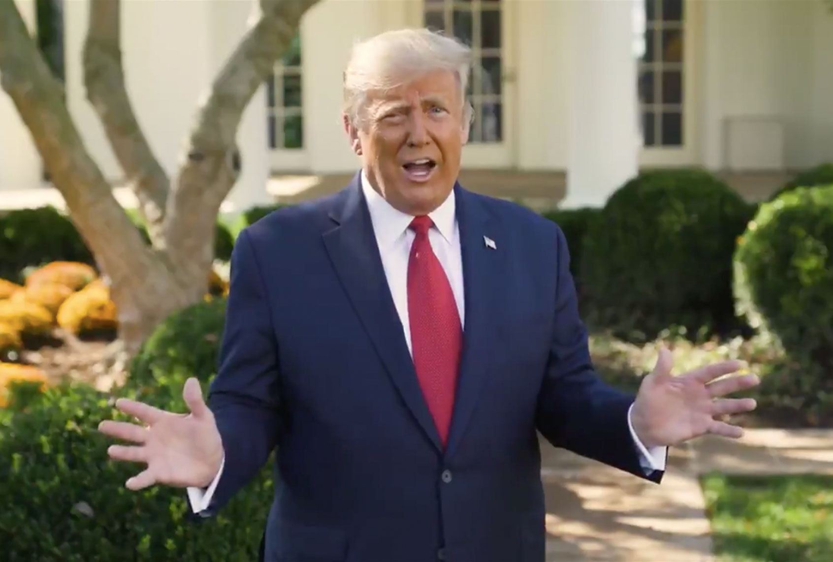 Donald Trump (The White House)