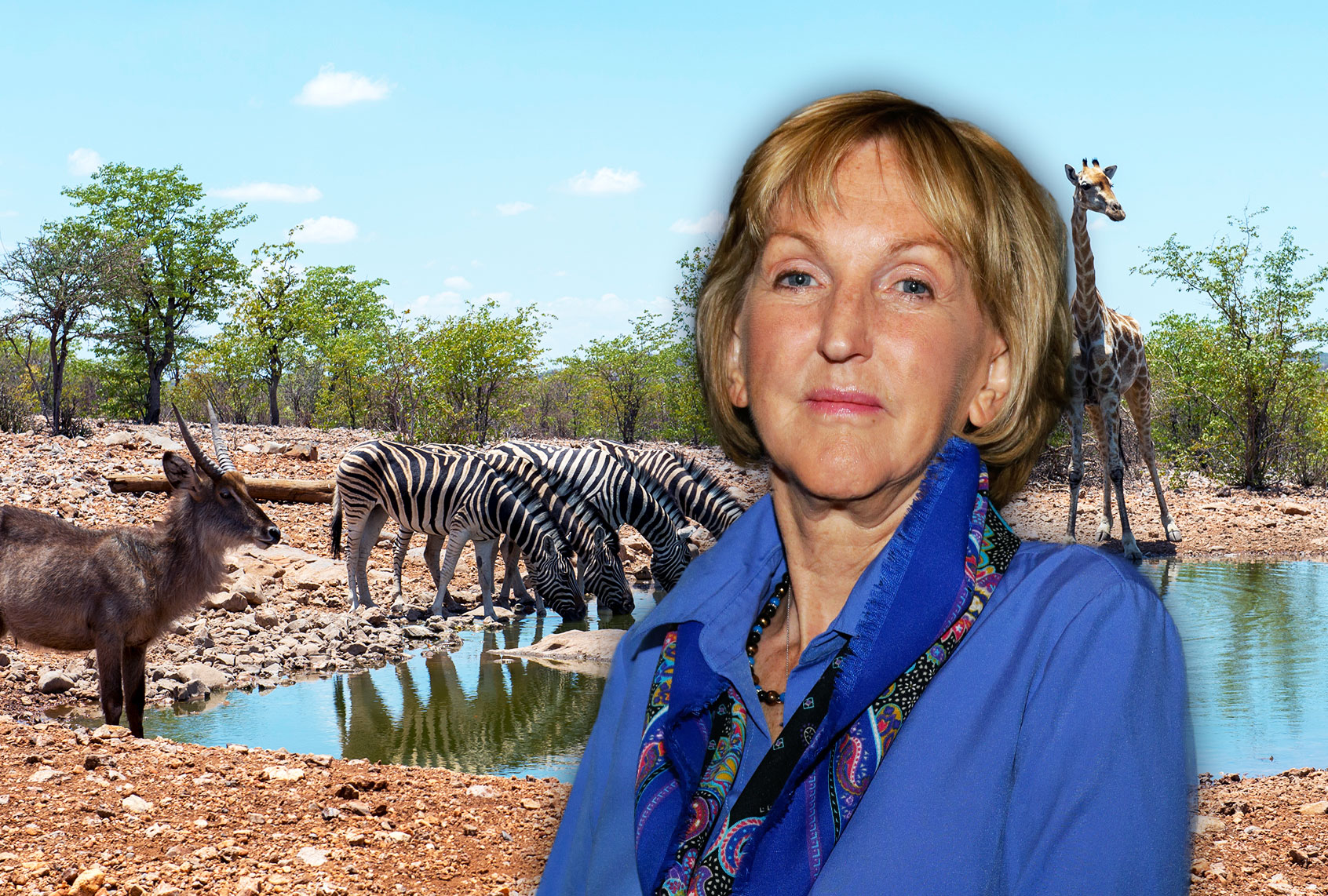 Ingrid Newkirk (Photo illustration by Salon/Getty Images)