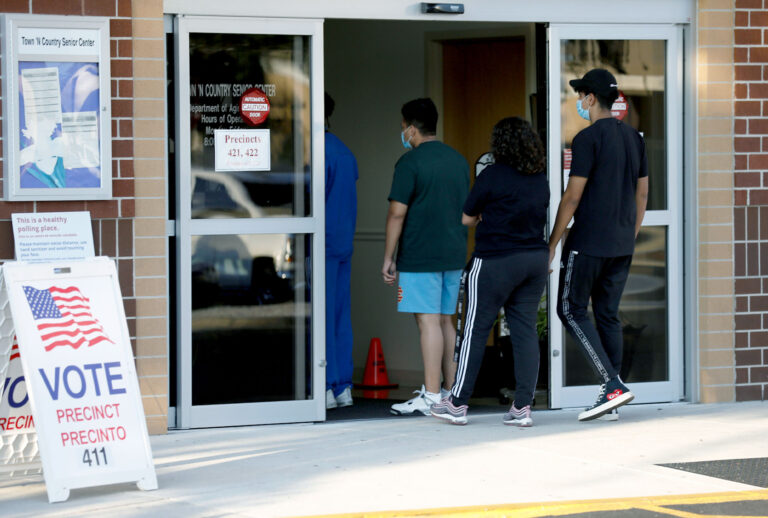 Voters wait in line to cast their ballots at the Town 'N Country Regional Public Library on November 3, 2020 in Tampa, Florida. (Octavio Jones/Getty Images)