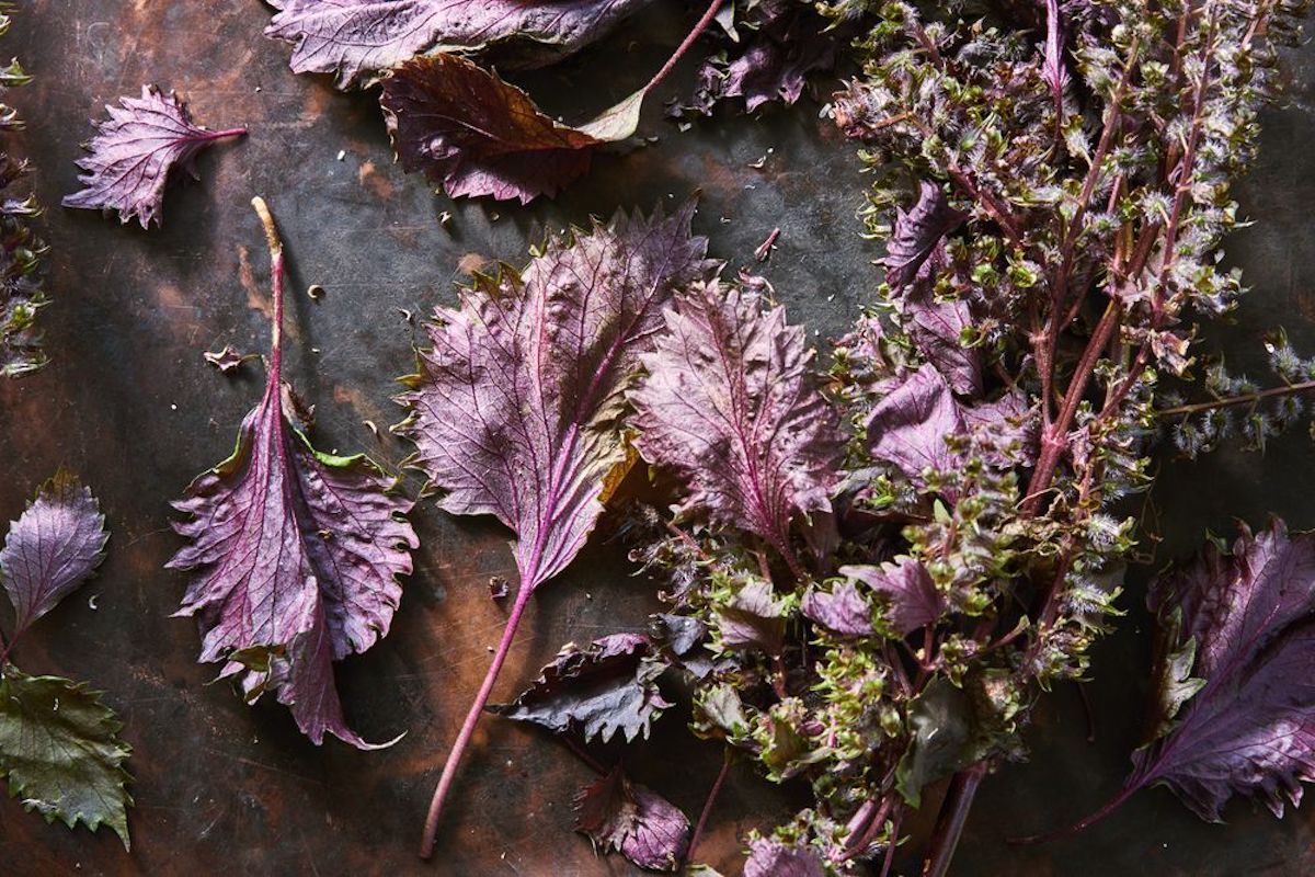 (Melina Hammer / Food52)