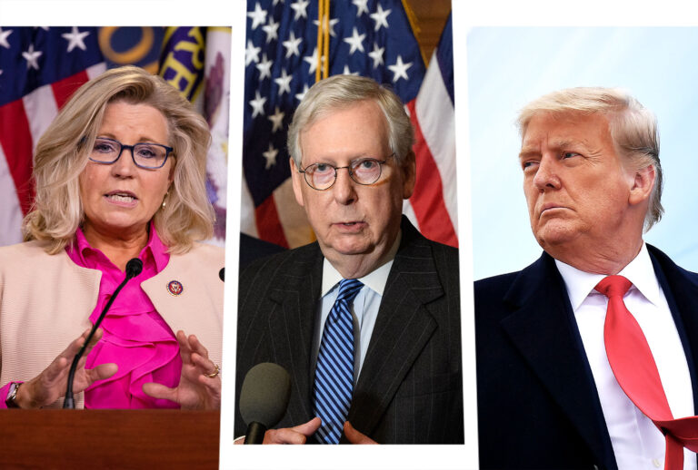 Donald Trump, Liz Cheney and Mitch McConnell (Photo illustration by Salon/Getty Images)