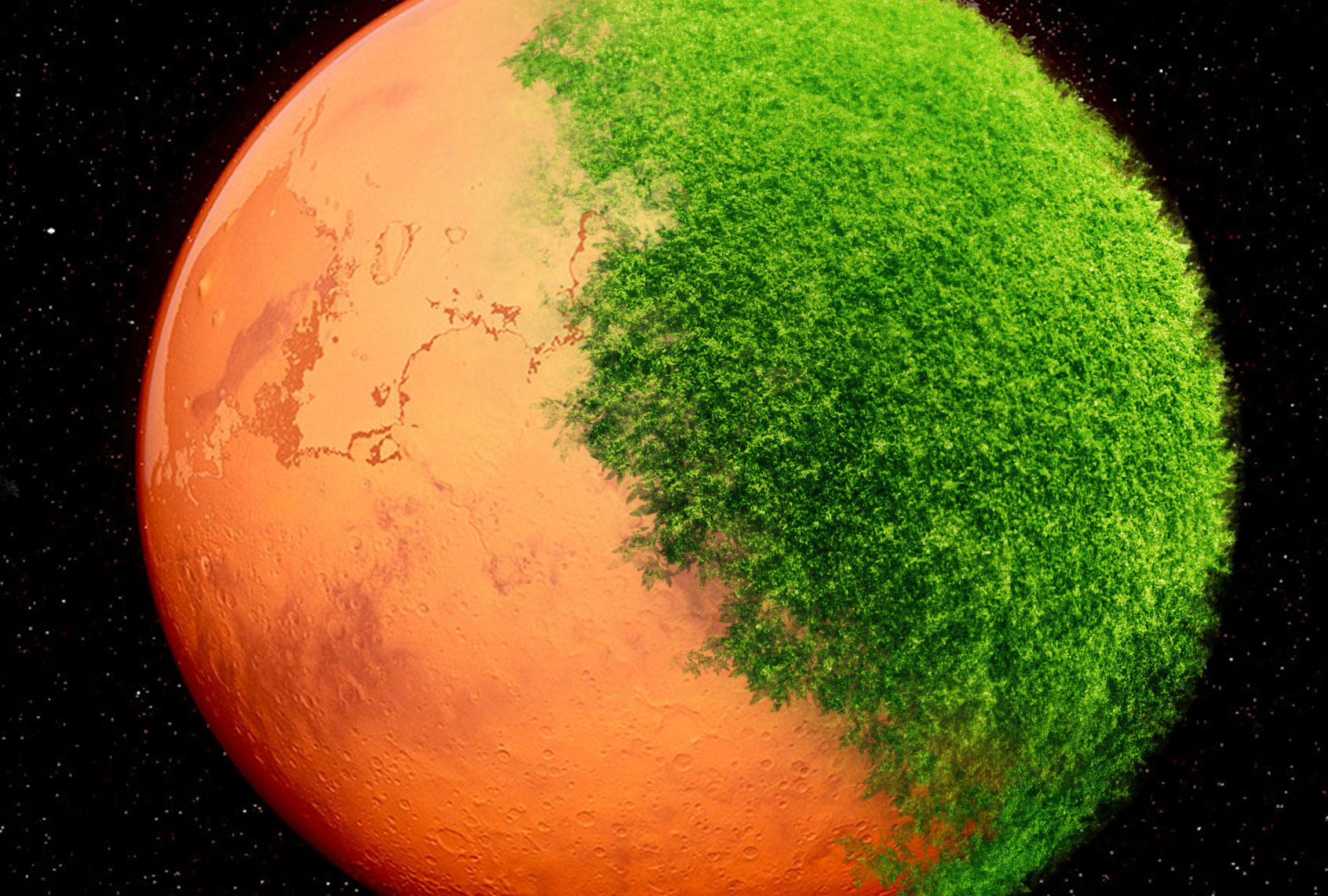 Life on Mars (Photo illustration by Salon/Getty Images)