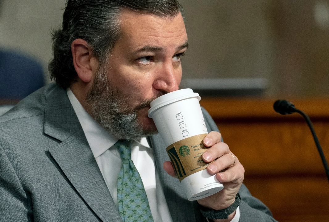 Sen. Ted Cruz (R-TX) attends a Senate Homeland Security and Governmental Affairs & Senate Rules and Administration joint hearing (Andrew Harnik - Pool/Getty Images)