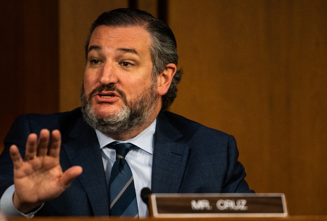 Sen. Ted Cruz (R-TX) speaks during U.S. Attorney General nominee Merrick Garland's confirmation hearing (Demetrius Freeman-Pool/Getty Images)